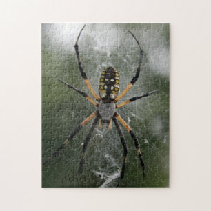 Quebra-cabeça Aranha/Argiope enormes do amarelo & do preto