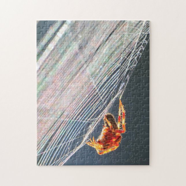 Quebra-cabeça Aranha de teia orbicular na teia (Vertical)
