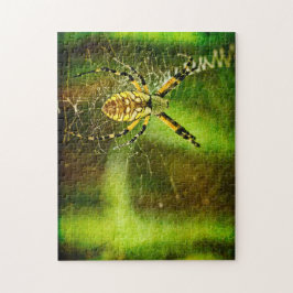 Quebra-cabeça Aranha do Jardim