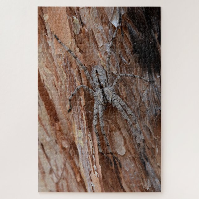 Quebra-cabeça Aranha-lobo (Vertical)