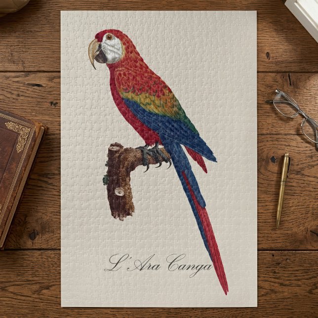 Quebra-cabeça Arara-vermelha, Ara macao (Scarlet Macaw or Red-Breasted Macaw, Ara macao. Jigsaw Puzzle)