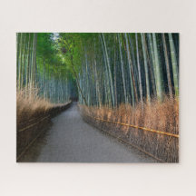 Arashiyama Bamboo Grove em Kyoto Japão