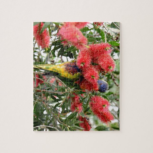 QUEBRA-CABEÇA ARCO-ÍRIS LORIKEET QUEENSLAND RURAL AUSTRÁLIA (Vertical)