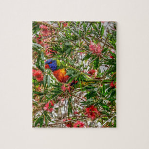 QUEBRA-CABEÇA ARCO-ÍRIS LORIKEET QUEENSLAND RURAL AUSTRÁLIA