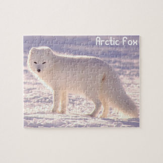 Quebra-cabeça Arctic fox