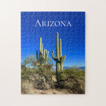 Arizona Sudoeste do Deserto Cactus