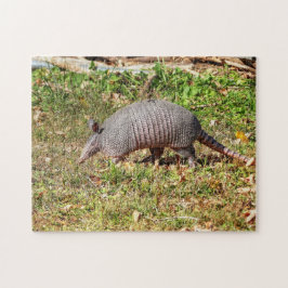 Quebra-cabeça Armadillo