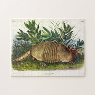 Quebra-cabeça Armadillo de nariz longo de nove pela Audubon