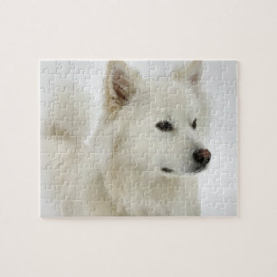 Quebra-cabeça Arte de Cão Eskimo Americana