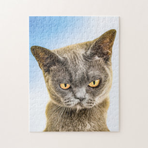 QUEBRA-CABEÇA ARTE DE GATOZINHO FOFINHO EMBRONZINHO QUEBRA-CABEÇ