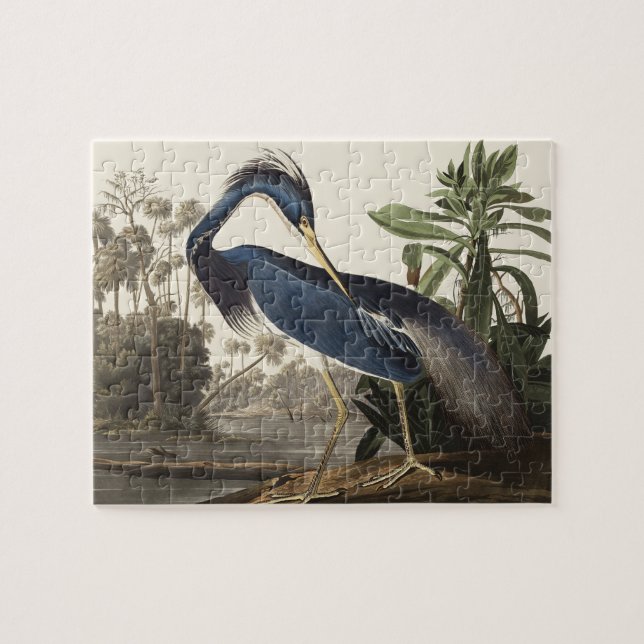 Quebra-cabeça Arte de pássaro da garça da Louisiana de Audubon v (Horizontal)