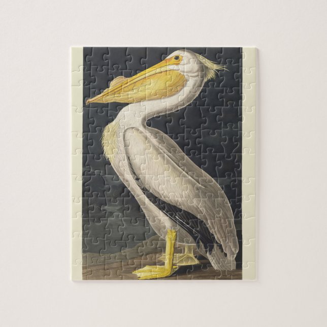 Quebra-cabeça Arte de Pássaro do Pelicano Branco Americano Audub (Vertical)