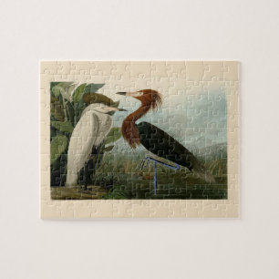 Quebra-cabeça Arte de Pássaro: Gravura do Garça Roxa de Audubon: