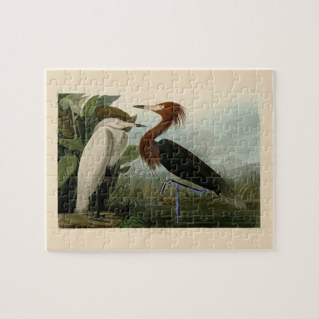 Quebra-cabeça Arte de Pássaro: Gravura do Garça Roxa de Audubon: (Horizontal)