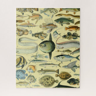 Quebra-cabeça Arte De Pesca Científica Para Peixes Vintage