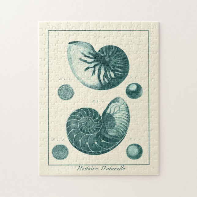 Quebra-cabeça Arte de Seashell Vermelha e Verde (Vertical)