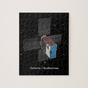 Quebra-cabeça Artemis BioSentinel CubeSat