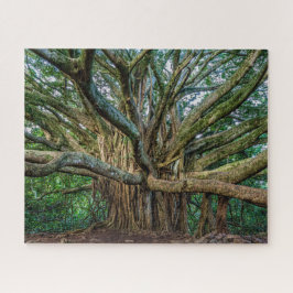 Quebra-cabeça Árvore Banyan Incrível