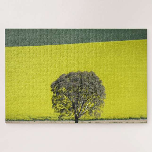 Quebra-cabeça árvore canola (Horizontal)