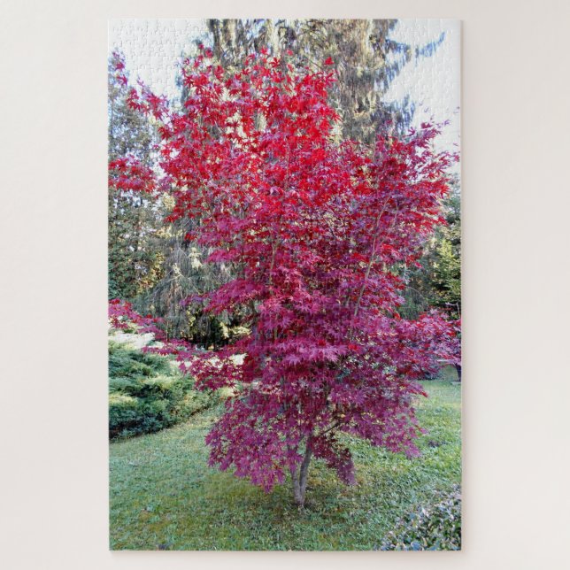 Quebra-cabeça Árvore de bordo vermelho bonita (Vertical)