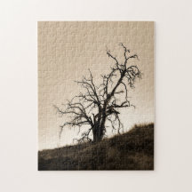 Árvore de Carvalho de outono