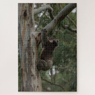 Quebra-cabeça Árvore de Escalada de Koala Austrália, 1014 peças