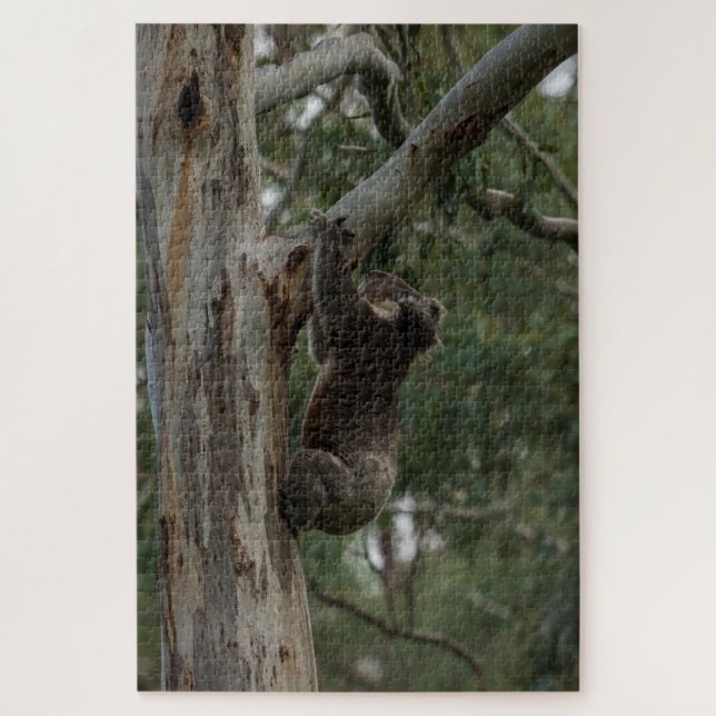Quebra-cabeça Árvore de Escalada de Koala Austrália, 1014 peças (Vertical)