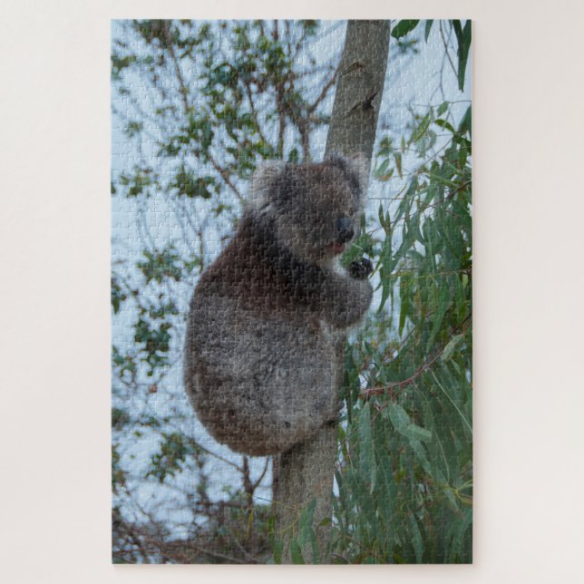 Quebra-cabeça Árvore de Koala, Ilha Kangaroo da Austrália, 1014  (Vertical)