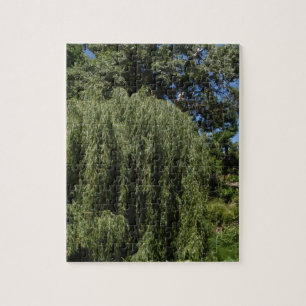 Quebra-cabeça Árvore de salgueiro Weeping