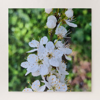 Quebra-cabeça Árvore em Flor na Primavera Romênia – Fotografia d