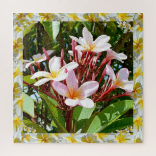 Quebra-cabeça Árvore Frangipani Rosa Com Borda Amarela De Frang