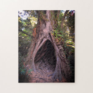 Quebra-cabeça Árvore Gigante e Caverna de Meditação /Floresta