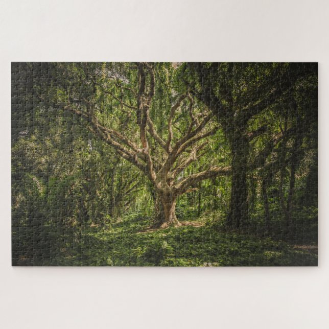 Quebra-cabeça Árvore Grande na Floresta (Horizontal)