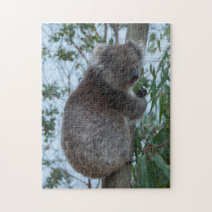 Quebra-cabeça Árvore Koala, Ilha Kangaroo, Austrália, 252 peças