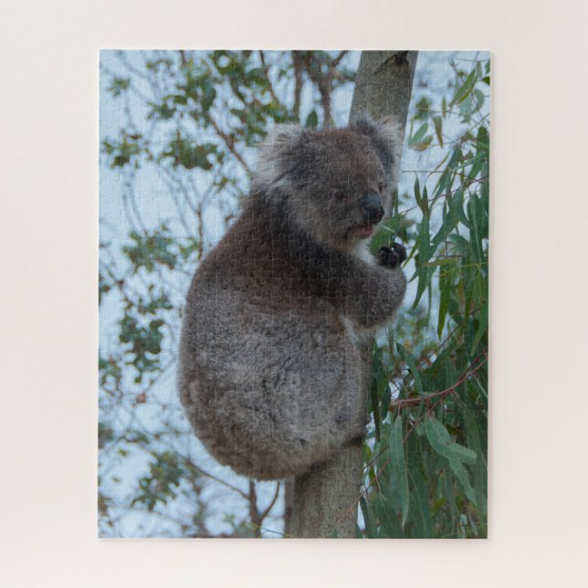 Quebra-cabeça Árvore Koala, Ilha Kangaroo, Austrália, 520 peças (Vertical)