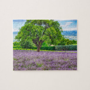 Quebra-cabeça Árvore no Campo de Lavanda, França