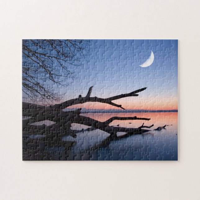Quebra-cabeça Árvore no Lago Starnberg | Muensing Baviera Aleman (Horizontal)