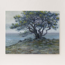 “Árvore Salt Point”