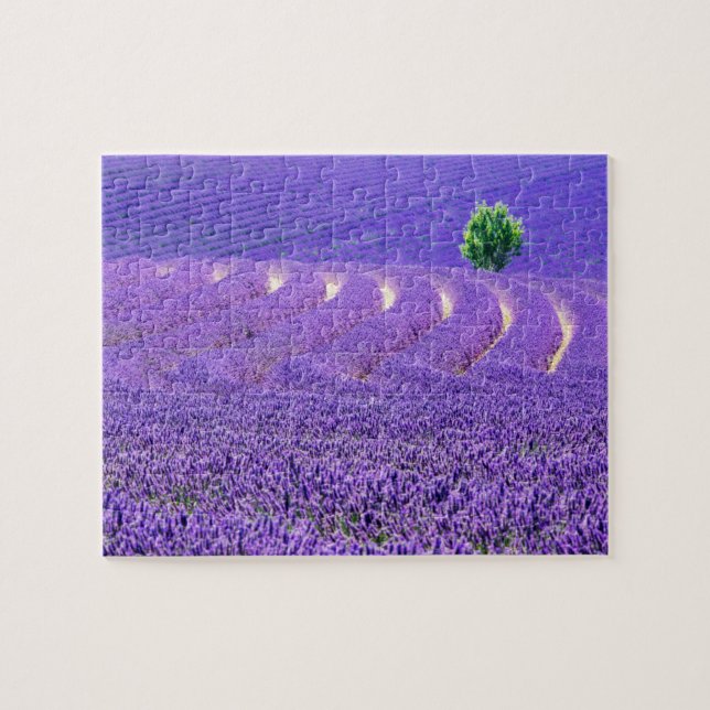 Quebra-cabeça Árvore solitária em Lavanda Field, França (Horizontal)
