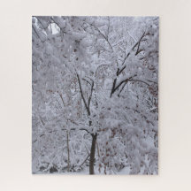 Árvores em Carga de Neve