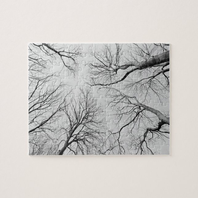 Quebra-cabeça Árvores Leafless na madeira de Thiepval (Horizontal)