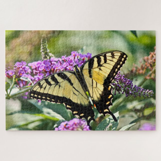 Quebra-cabeça Asas de borboletas de cauda variável espalhadas (Horizontal)