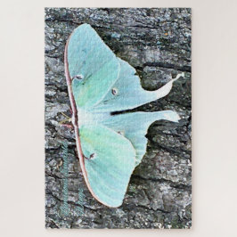 Quebra-cabeça Asas Esmeraldas Luminosas - Ember Silencioso