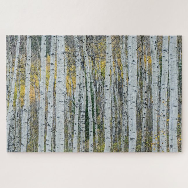 Quebra-cabeça Aspen troncos de árvore | Aspen, Colorado (Horizontal)