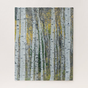 Quebra-cabeça Aspen troncos de árvore Aspen, Colorado