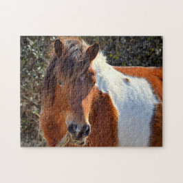 Quebra-cabeça Assateague Pinto Mare Sra. Macky