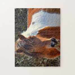 Quebra-cabeça Assateague Pinto Mare Sra. Macky