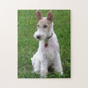 Quebra-cabeça assento do terrier de raposa do fio