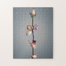 Até a última pétala...