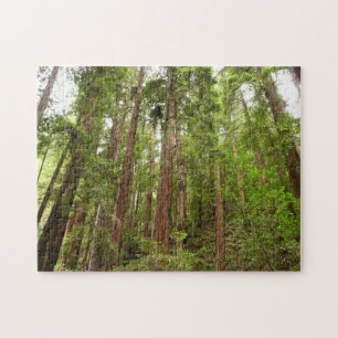 Quebra-cabeça Até Sequoias Eu no Monumento Nacional de Muir Wood